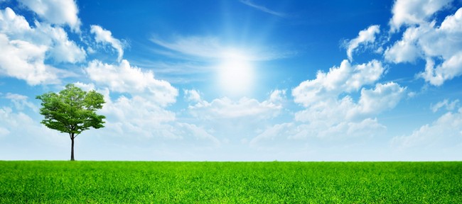 ����������
�ɂ���